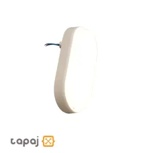 Mahoor Oval 20W Waterproof Light